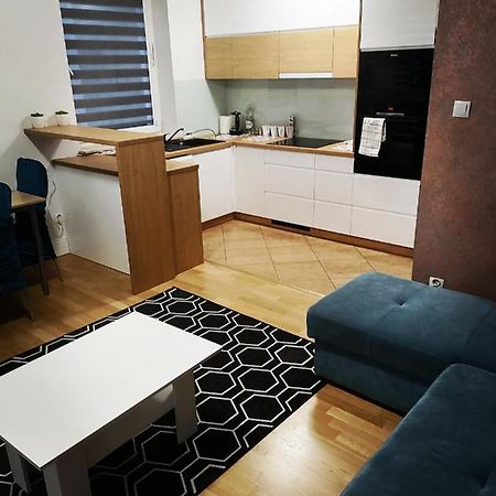 Apartmán Apartament Luxbibi Rzeszów Exteriér fotografie